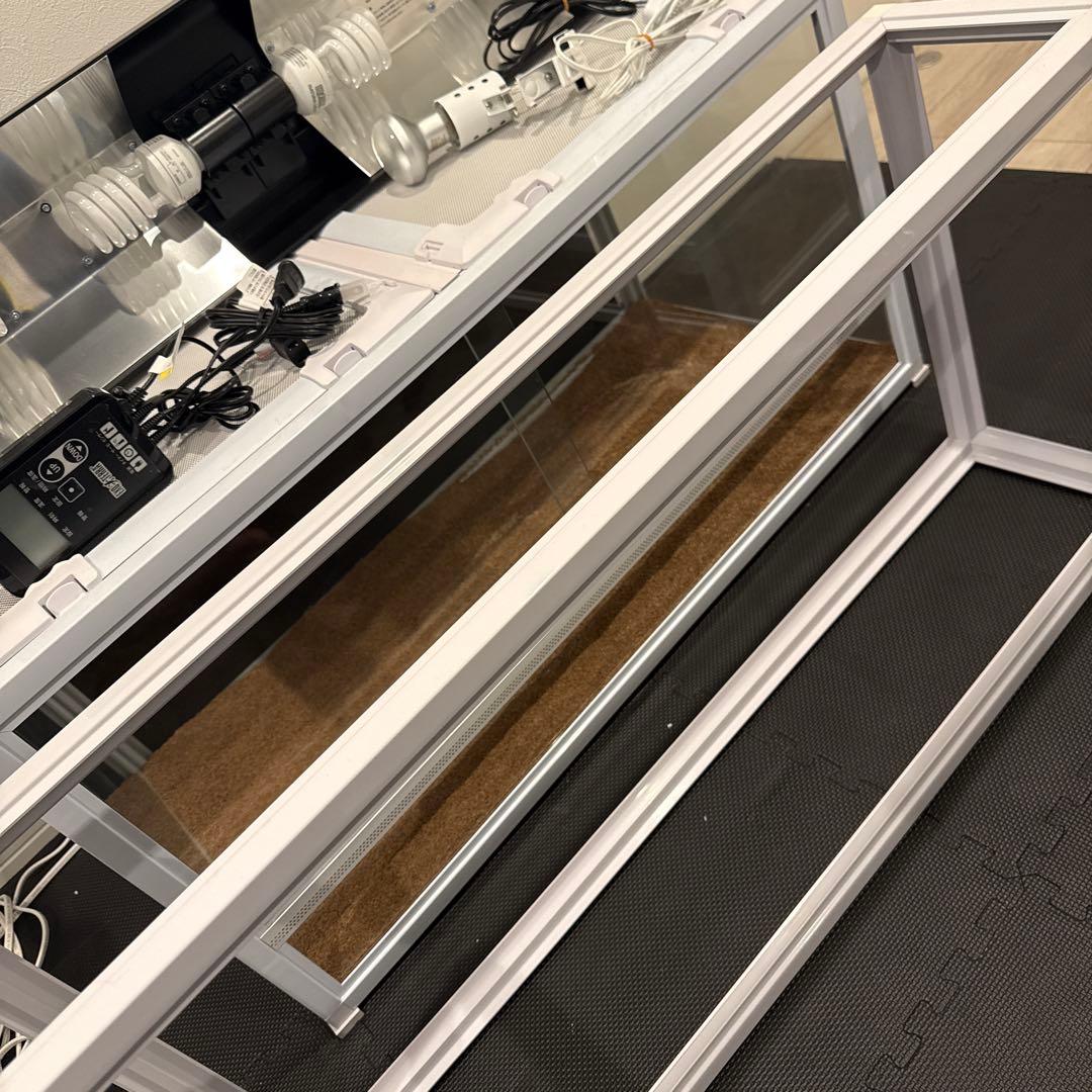 パンテオン　WH9045 【直接手渡し限定】