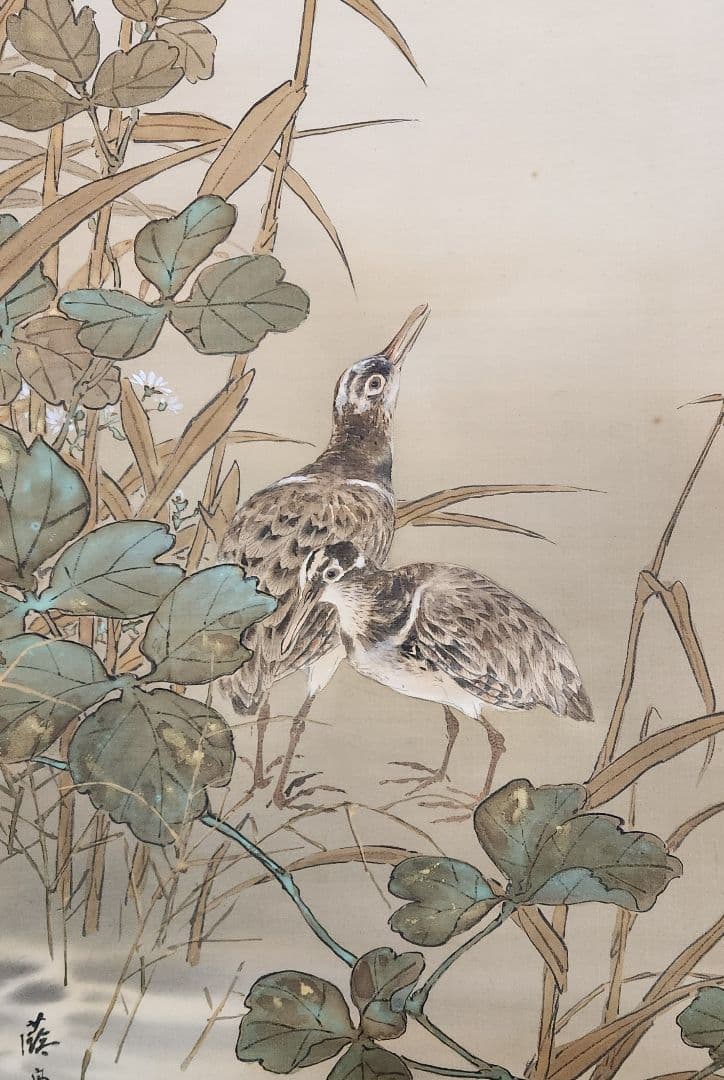 【月下鴨図】団藍舟 2671 満月カモ 共箱　掛け軸 肉筆