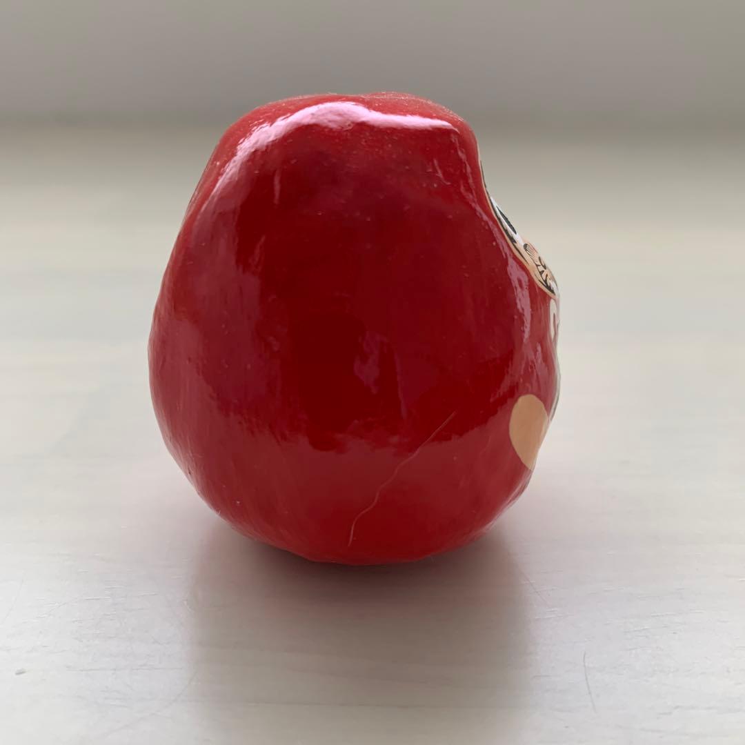 ヤチコダルマ　土佐犬抱っこ