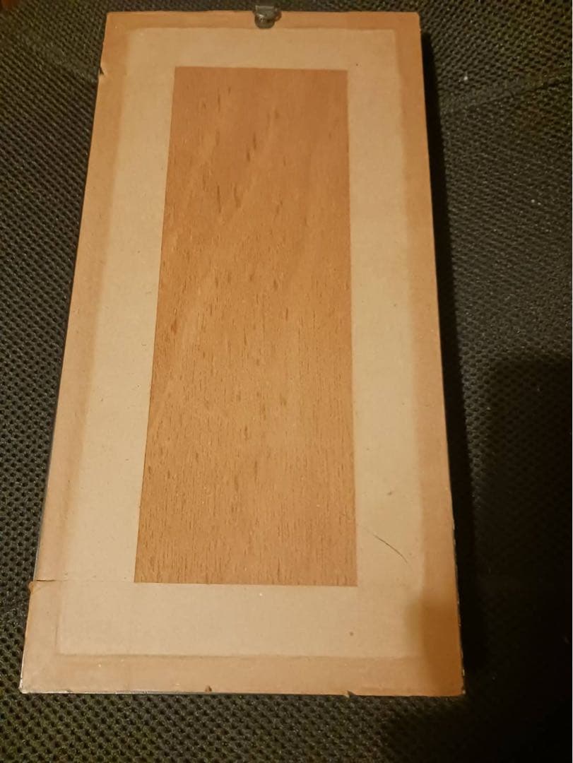 マレーシア産 蝶の標本セット 最大のツマベニチョウ　白アゲハ　コレクション