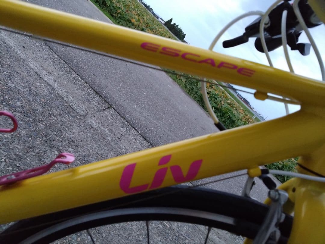 ジャイアント　現品引き取りのみ　ヘルメット、同色空気圧つき