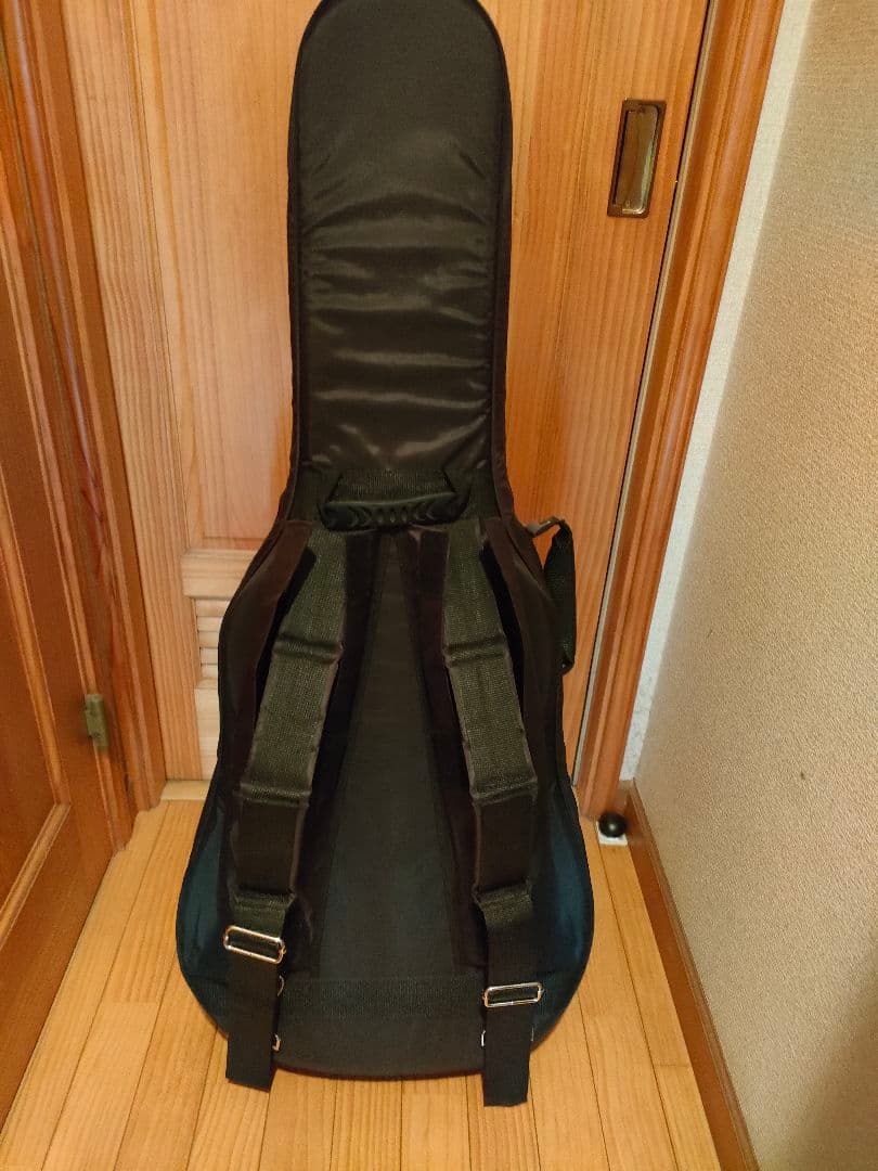 ギターセミハードケース