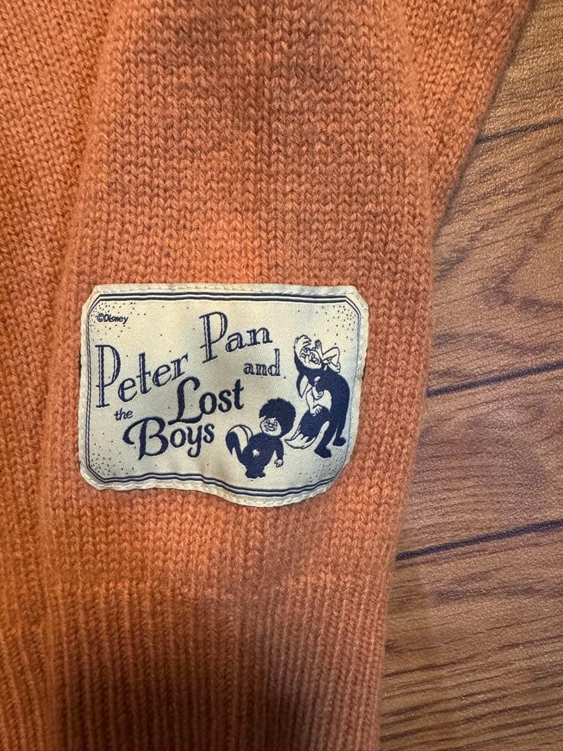 ZARA ディズニー ナナ ピーターパン セーター ハリーランバート S
