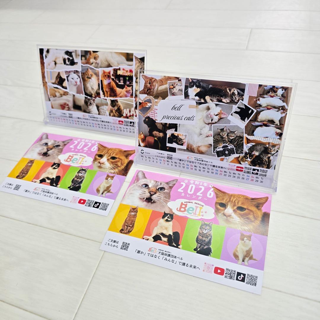 ③《猫》 卓上チャリティーカレンダー10枚セット