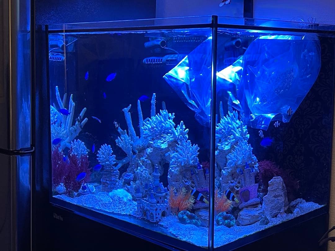 RedSea Reefer170 リーファー 美品　目黒区発送