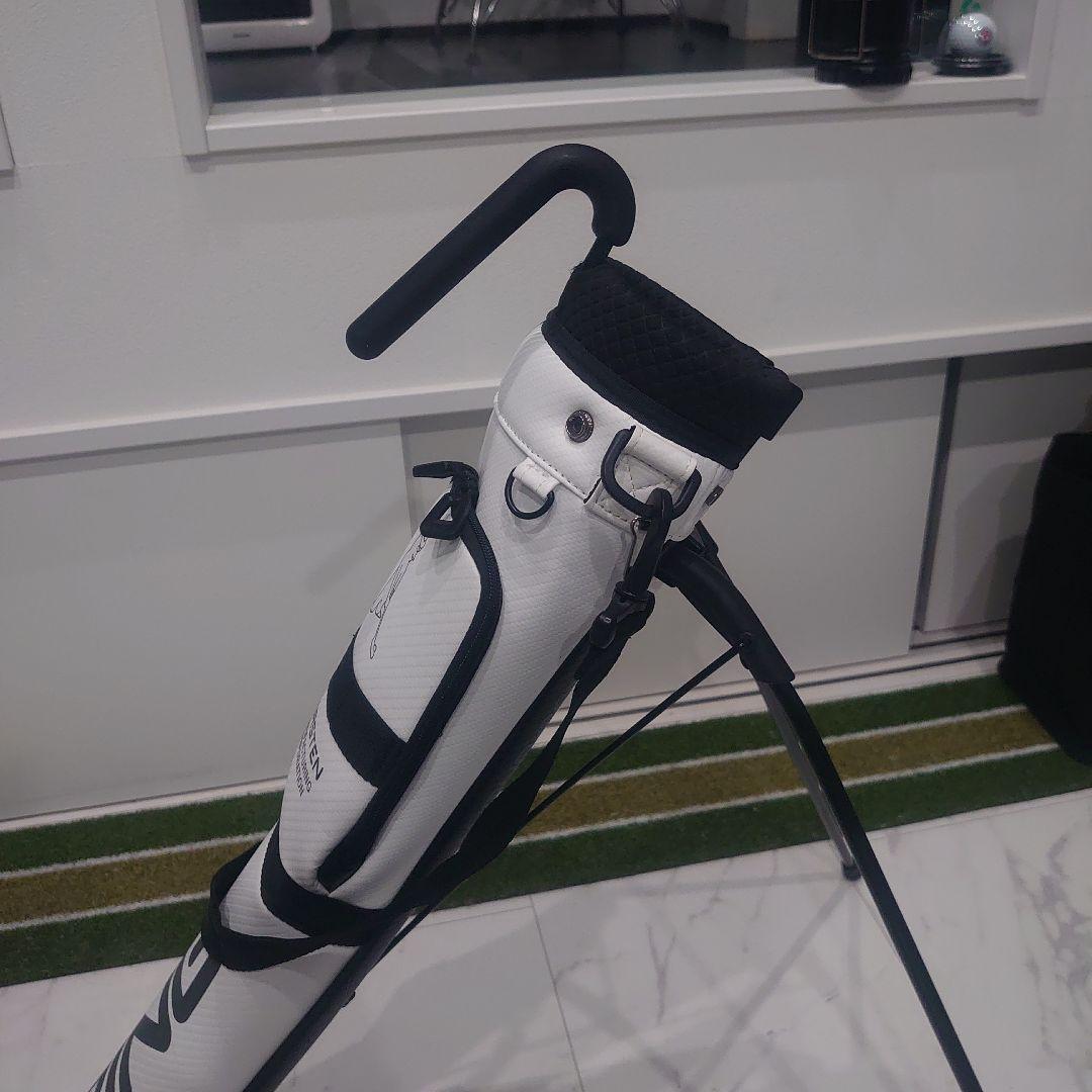 PING スタンドクラブケース