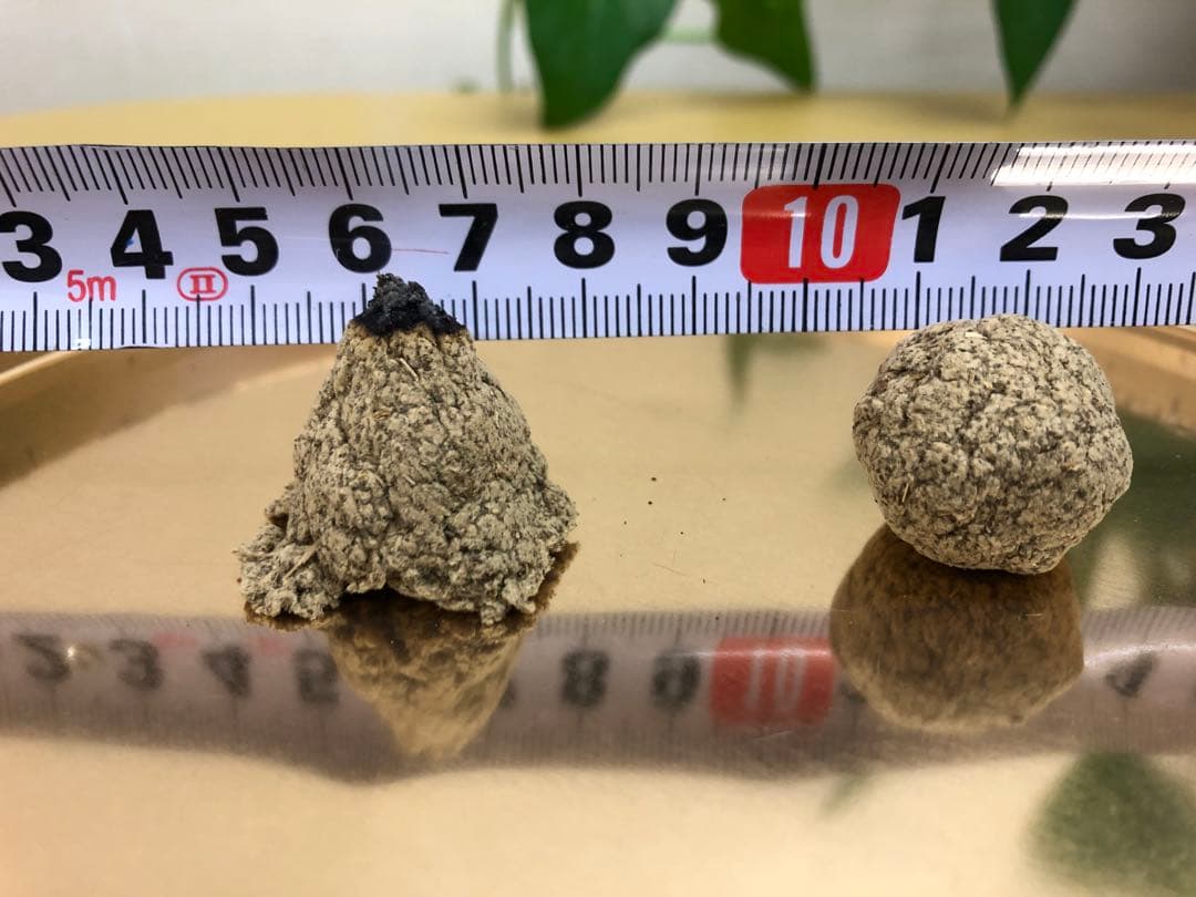 温灸用モグサ　艾　ヨモギ