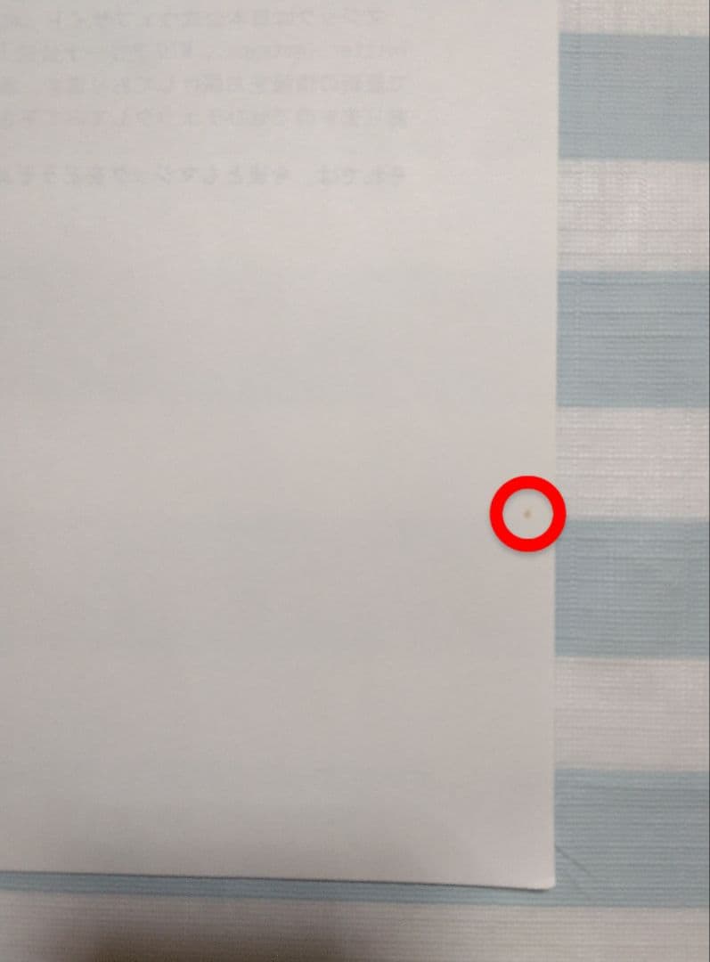 マジックザギャザリング　2022年ポスターカレンダー