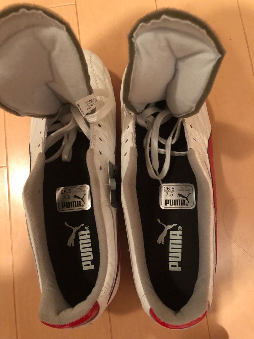 プーマ デルムンド GCI FG