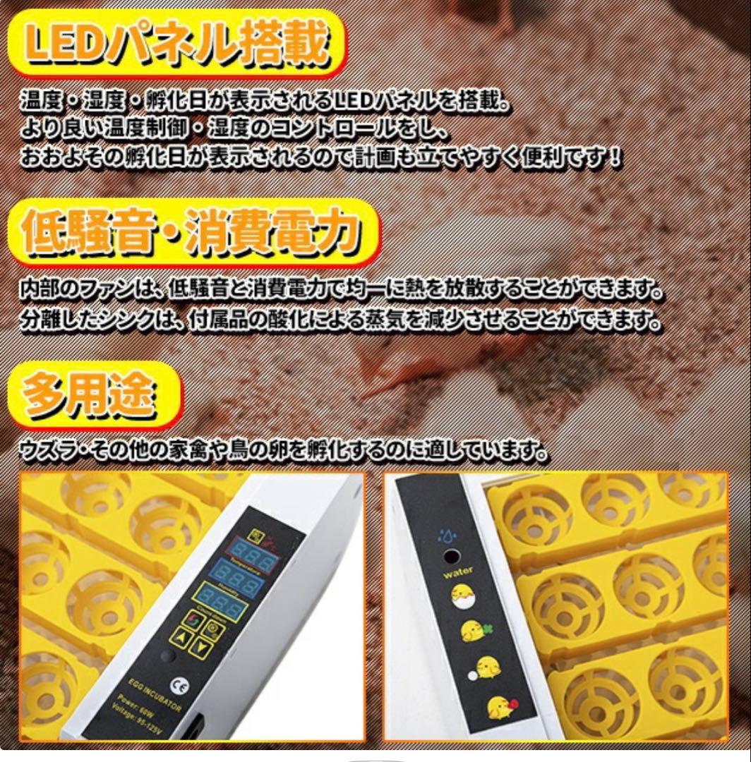 鳥類全自動孵卵器 孵化 ふ化器 自動転うずら ウズラ 牧草、保温電球、エサセット