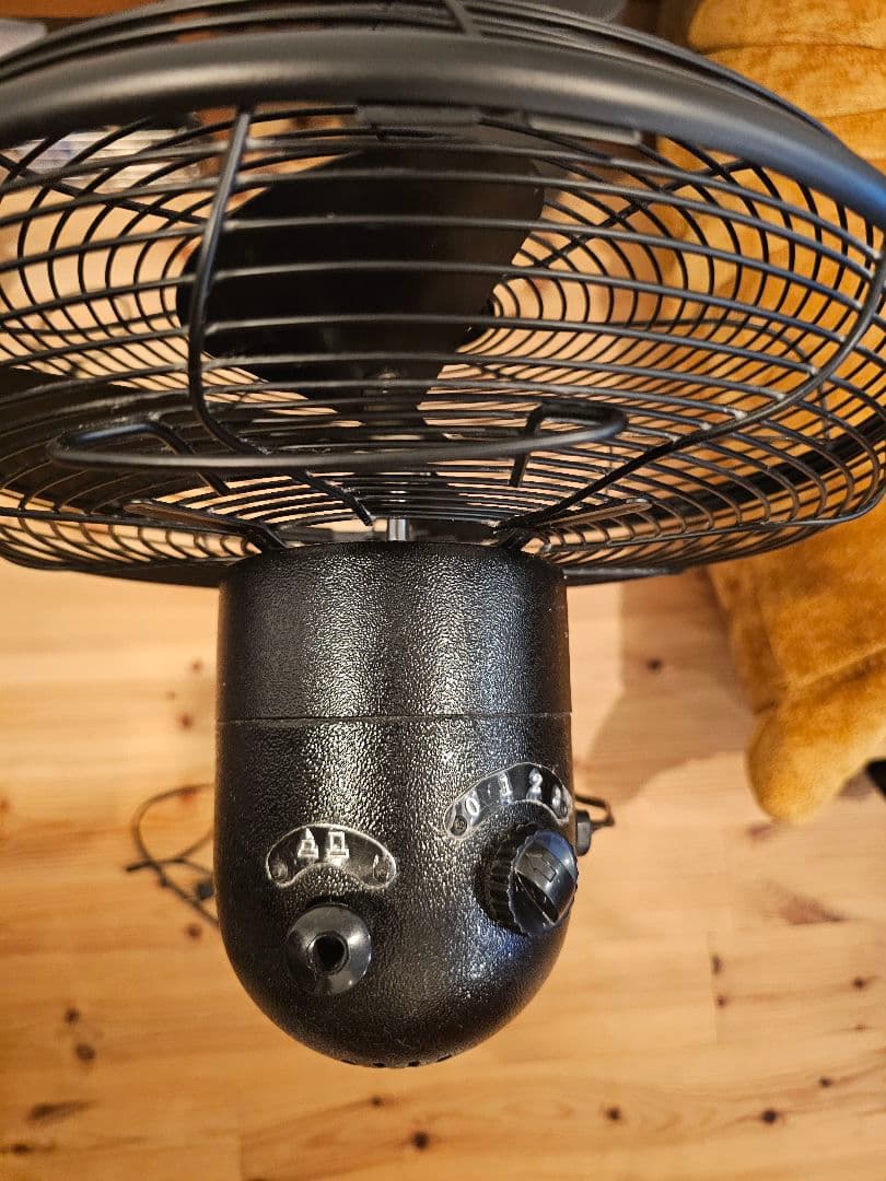 HERMOSA RETRO FAN FLOOR ハモサ ジャーナルスタンダード