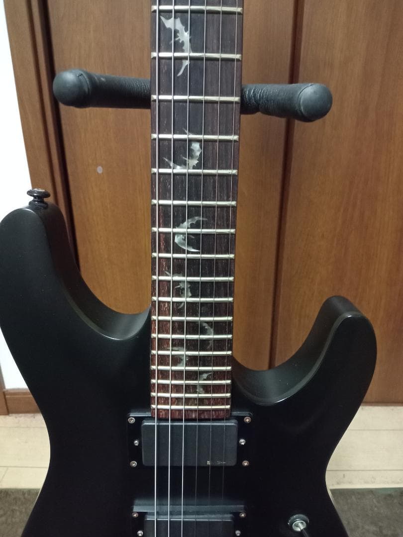 SCHECTER AD DM-FR/SBK AD DM-FR 6弦エレキギター