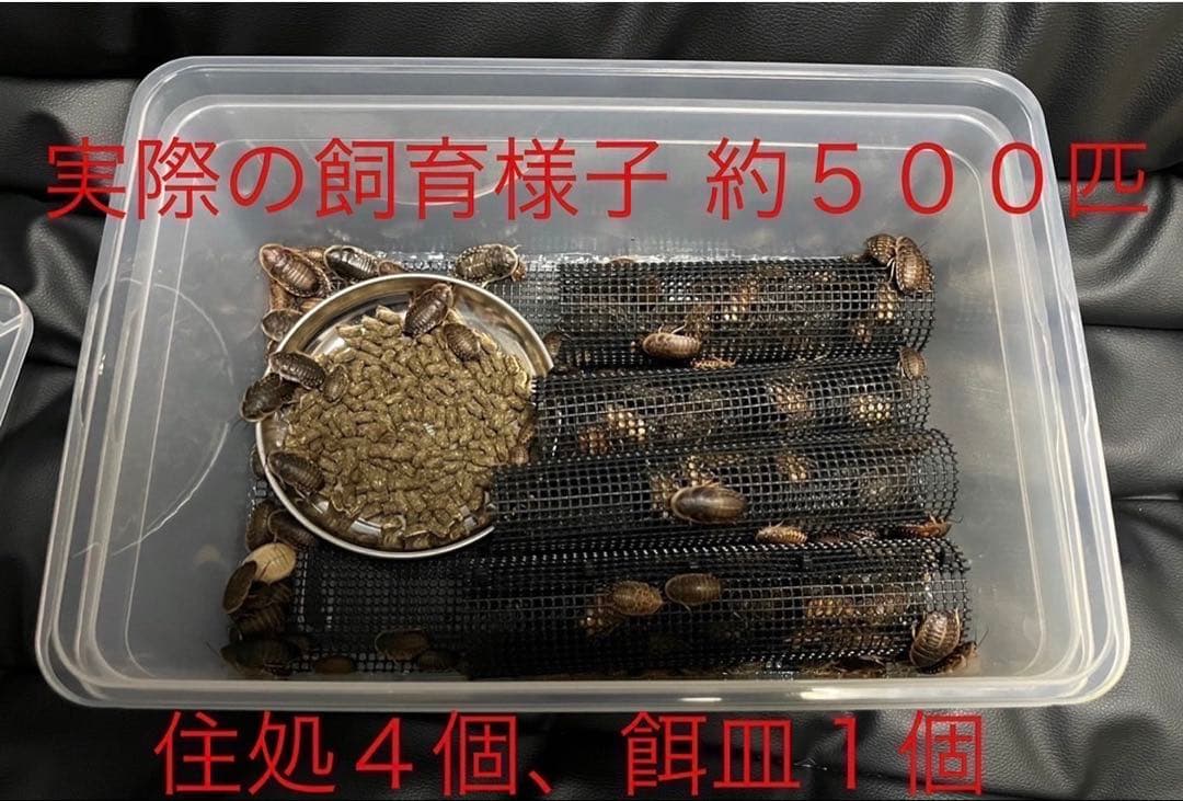 2mm、1.3mm 1個ずつ