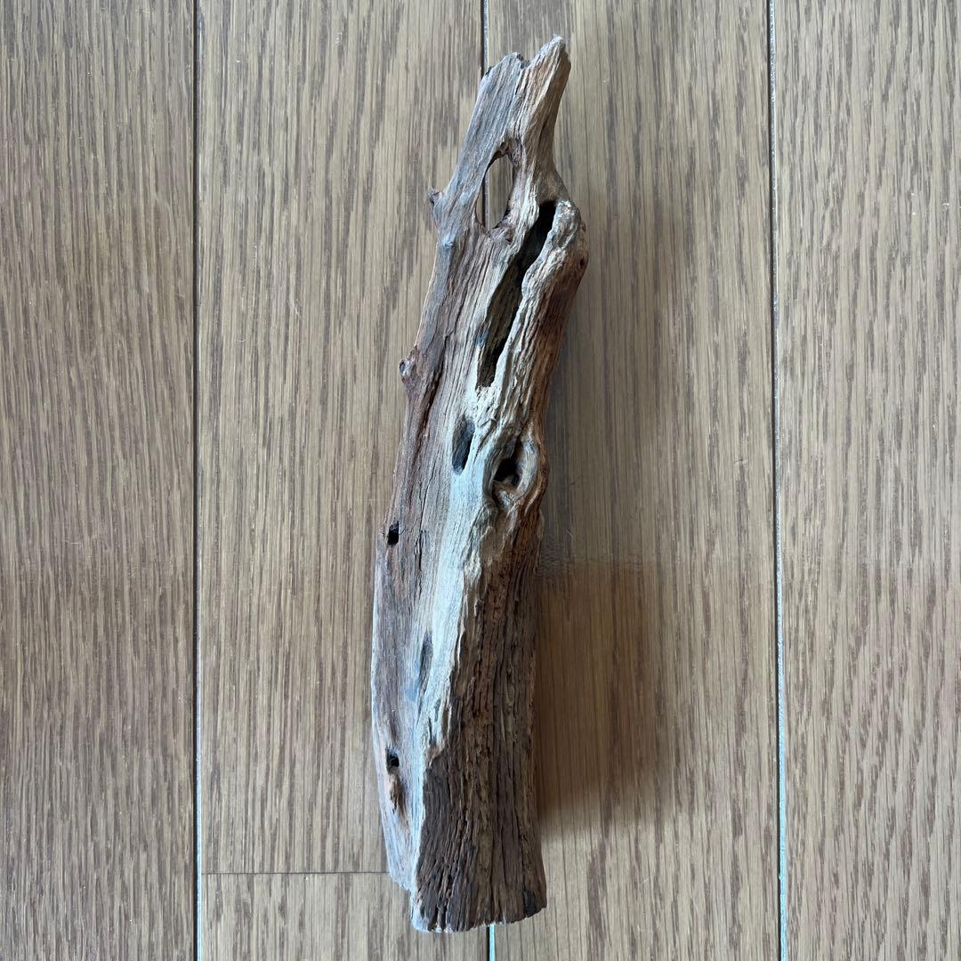 香木 白檀 約114g 鑑定済 お香 リラクゼーション