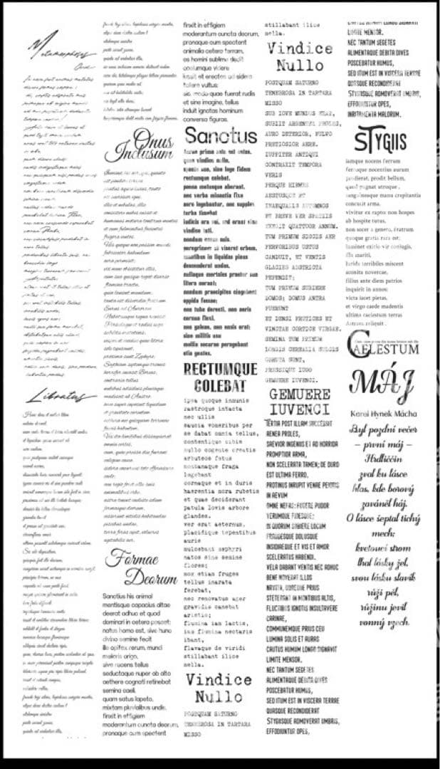 海外マスキングテープ巻売り 祈音 赤箔押しpet 英字 人物マステ 233