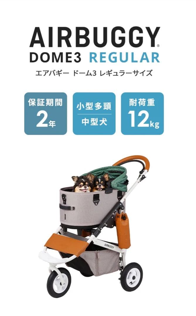 美品　オマケ多数　エアバギー　ドーム3　レギュラー　クローバー♣️