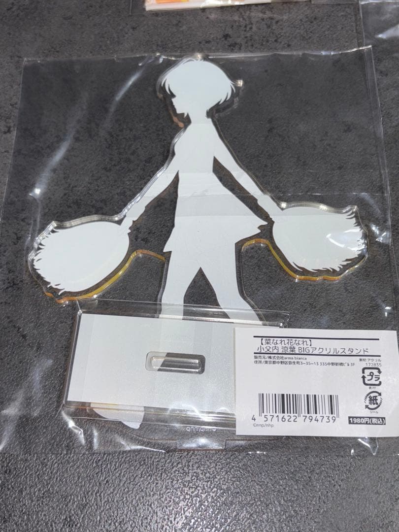 菜なれ花なれ　bigアクリルスタンド　全種セット　涼葉　詩音　恵深　かなた　チア