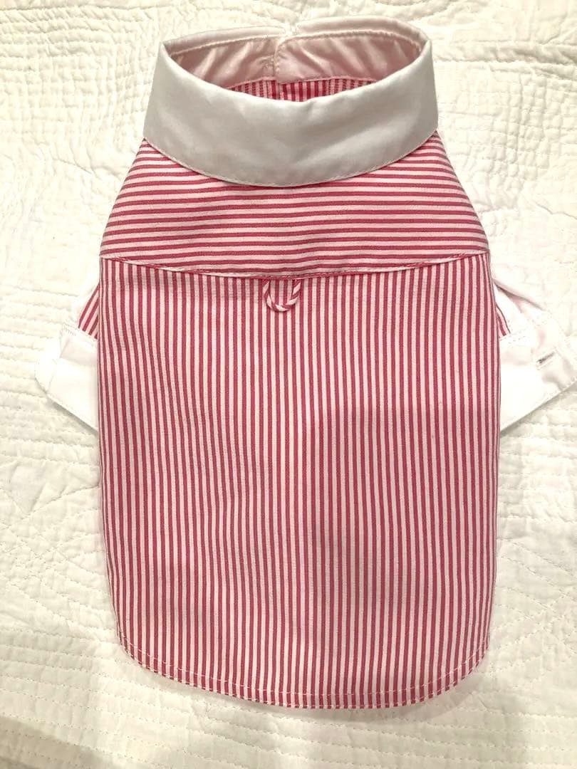 atelier gg クレリック シャツ 白襟