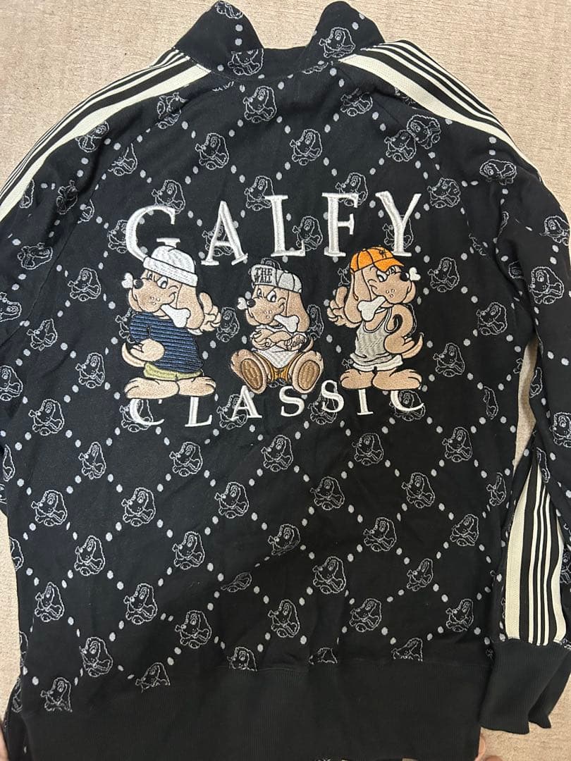 ガルフィー　セットアップ