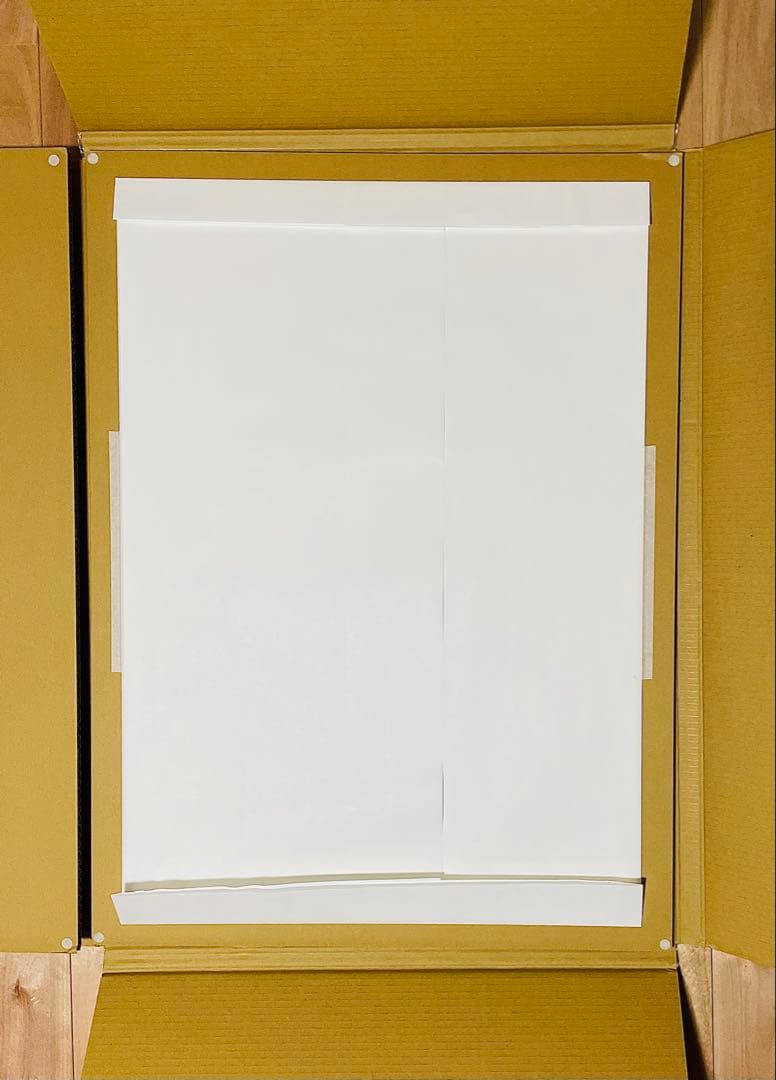 井田幸昌 複製画ポスター ドナルドダック