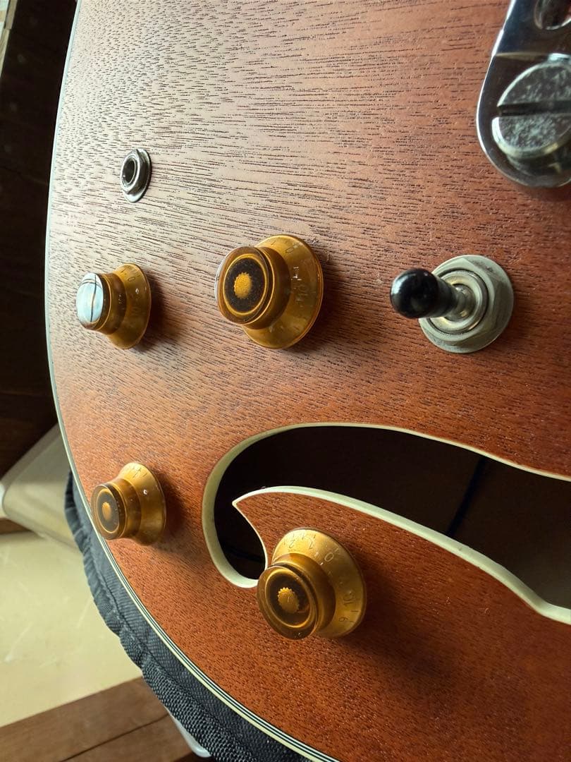 【毎日値下げしてます】国産ARIA PRO2 TA-TR1 セミアコ