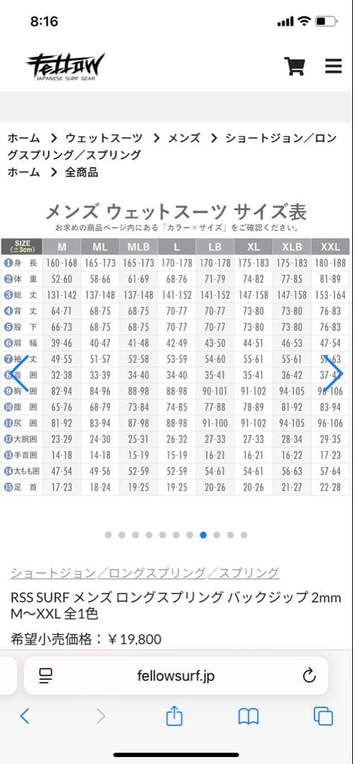 ウェットスーツ　ロングスプリング　フェロー　ML