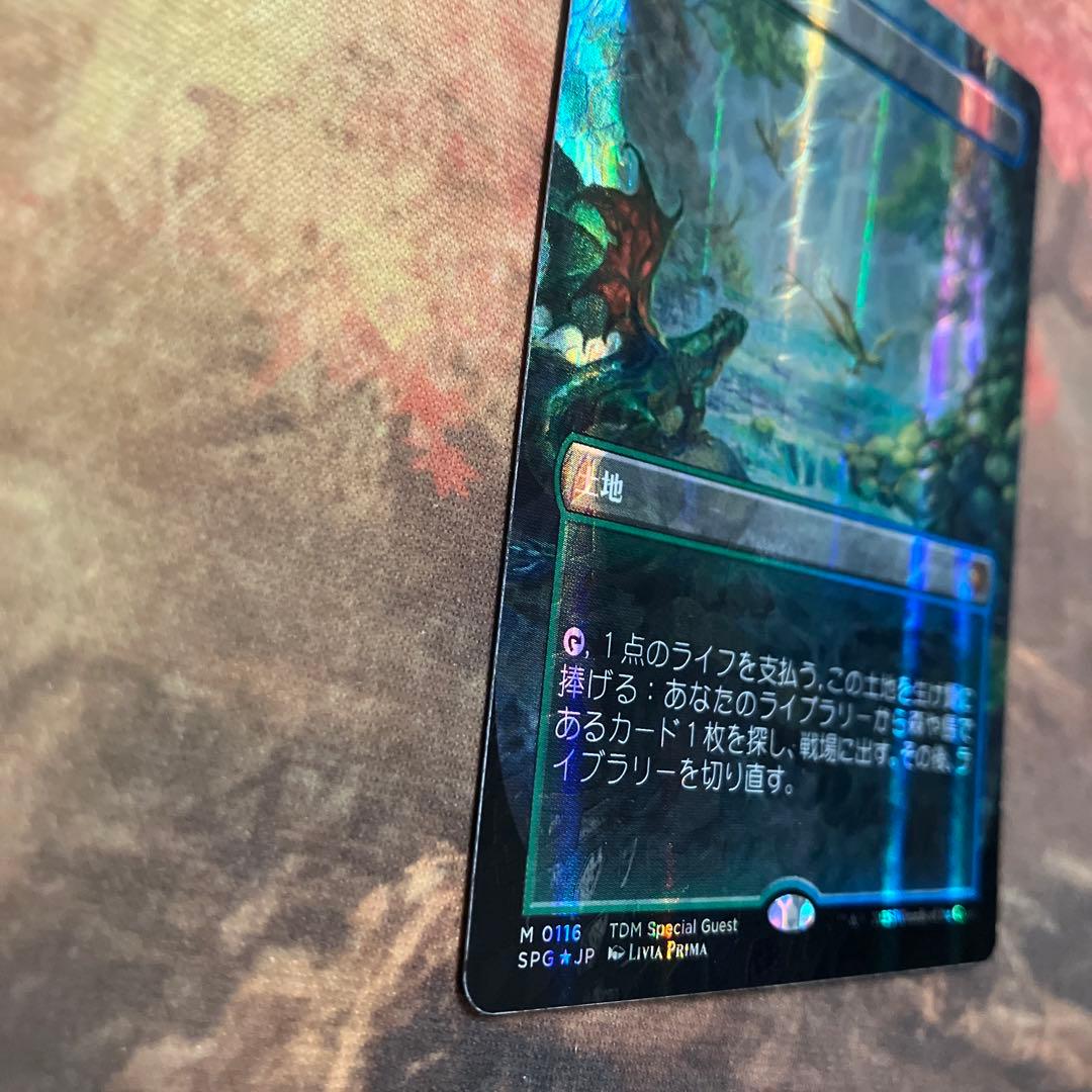 霧深い雨林　ドラゴンスケイル　ホイルfoil