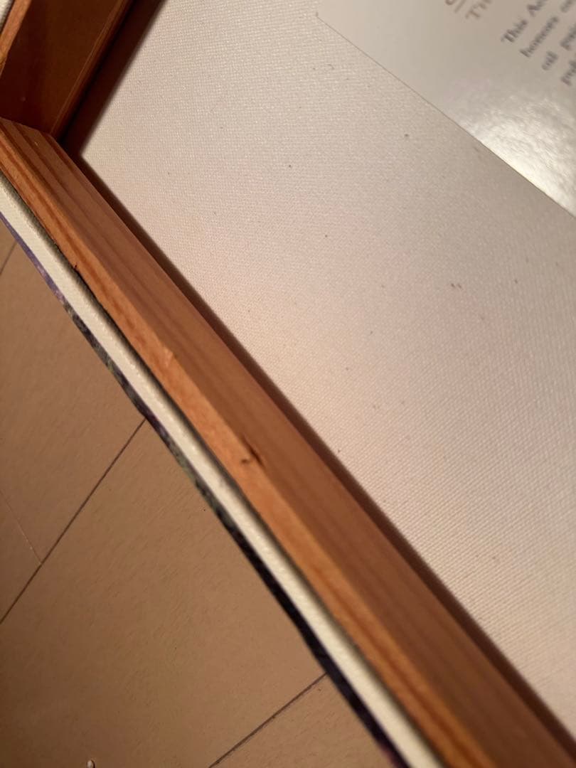 【正規品★カリフォルニアディズニー購入品】 シンデレラ城 キャンバスアート