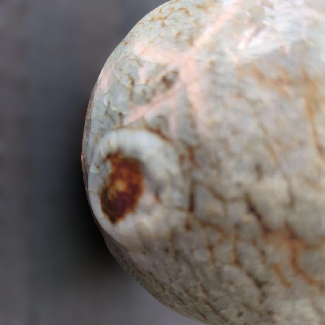 鼠志野 の酒器セット