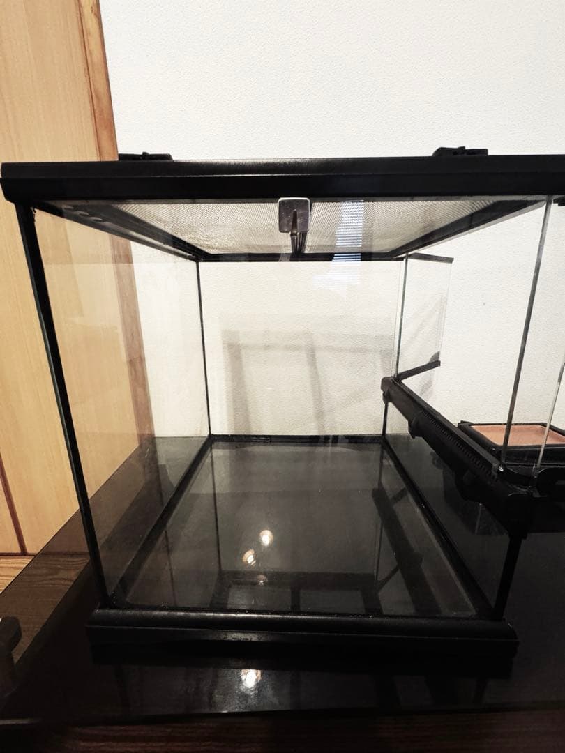 グラステラリウム3030 (レオパ育成セット)②