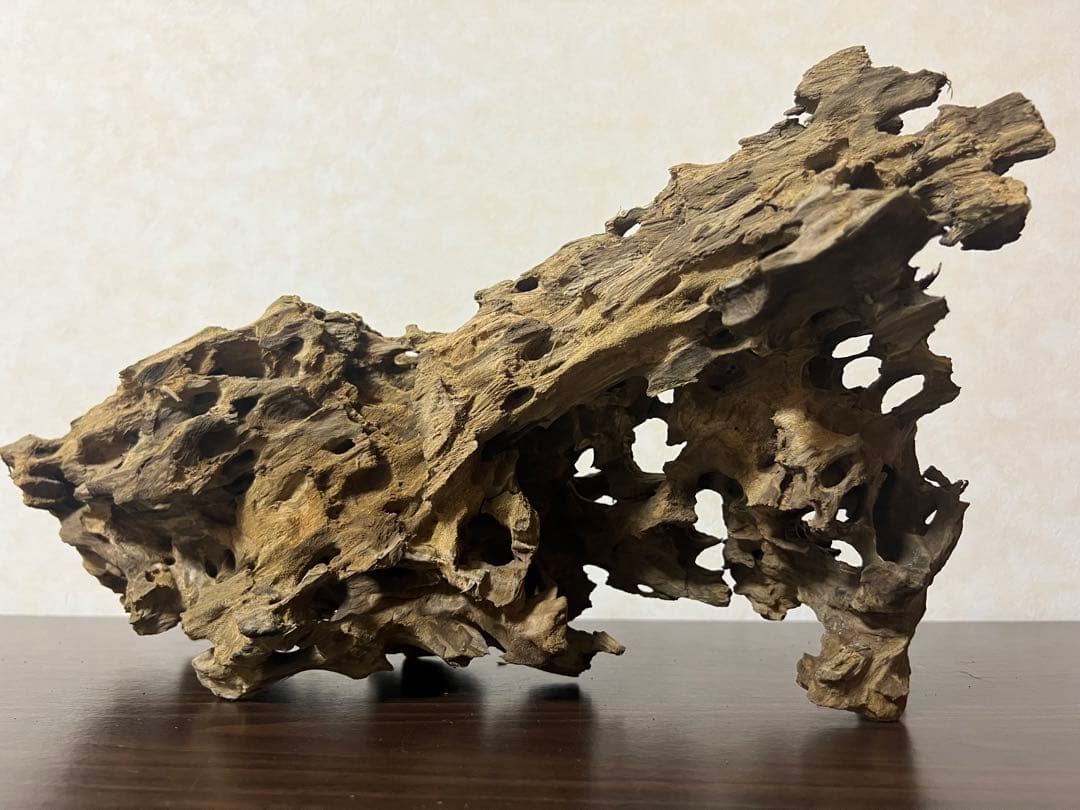 XM-453 流木　マシンガンウッド　アクアリウム　ブランチウッド　沈水確認済