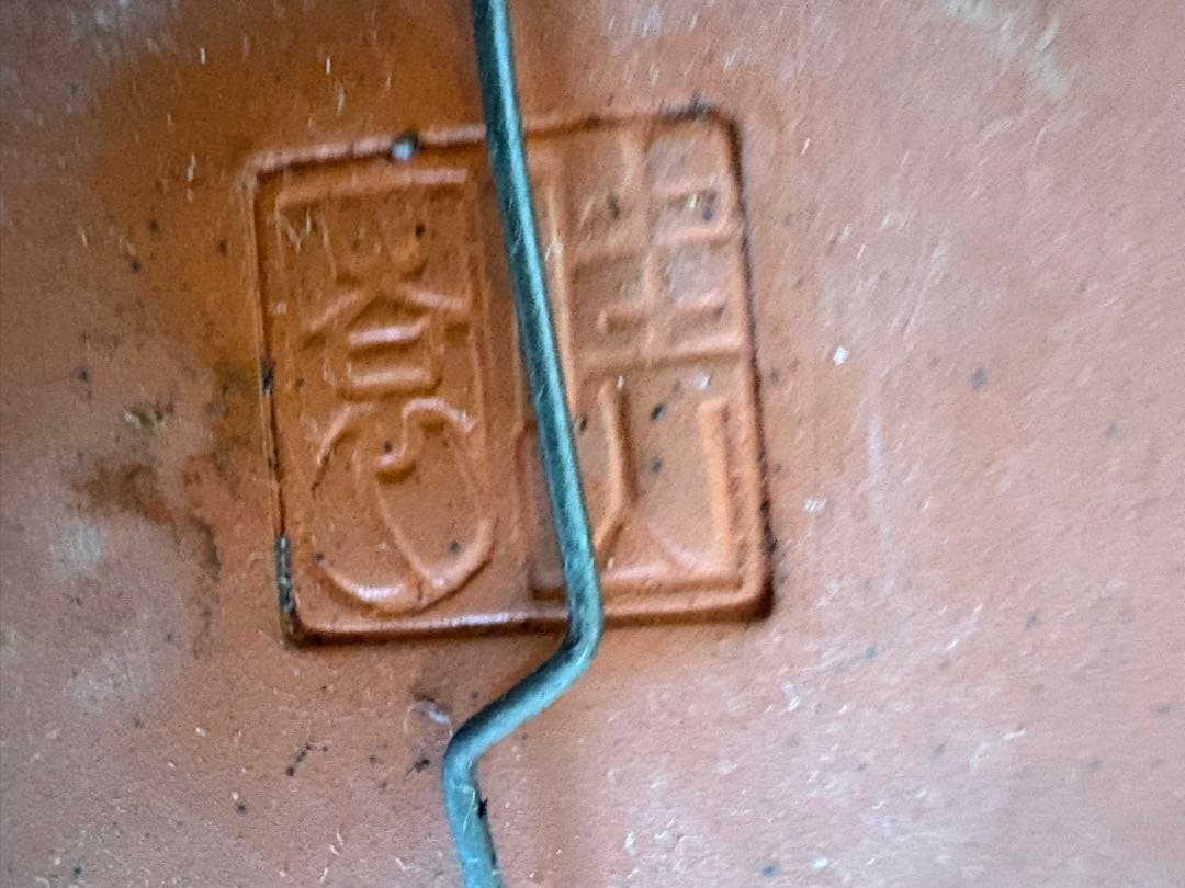 [盆栽]五葉松/貴風//黒松/赤松/真柏