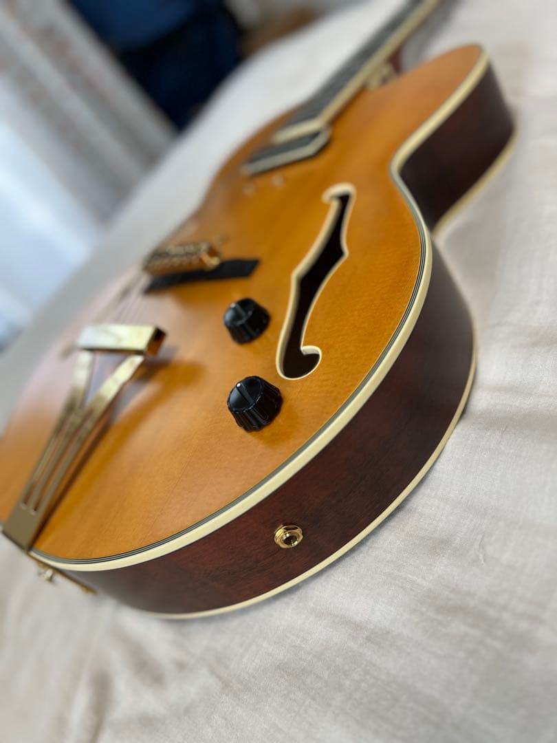 Ibanez フルアコ パット・メセニーモデル ハードケース付き