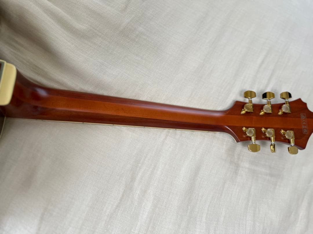 Ibanez フルアコ パット・メセニーモデル ハードケース付き