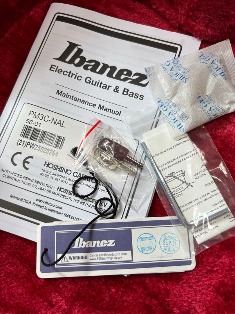 Ibanez フルアコ パット・メセニーモデル ハードケース付き