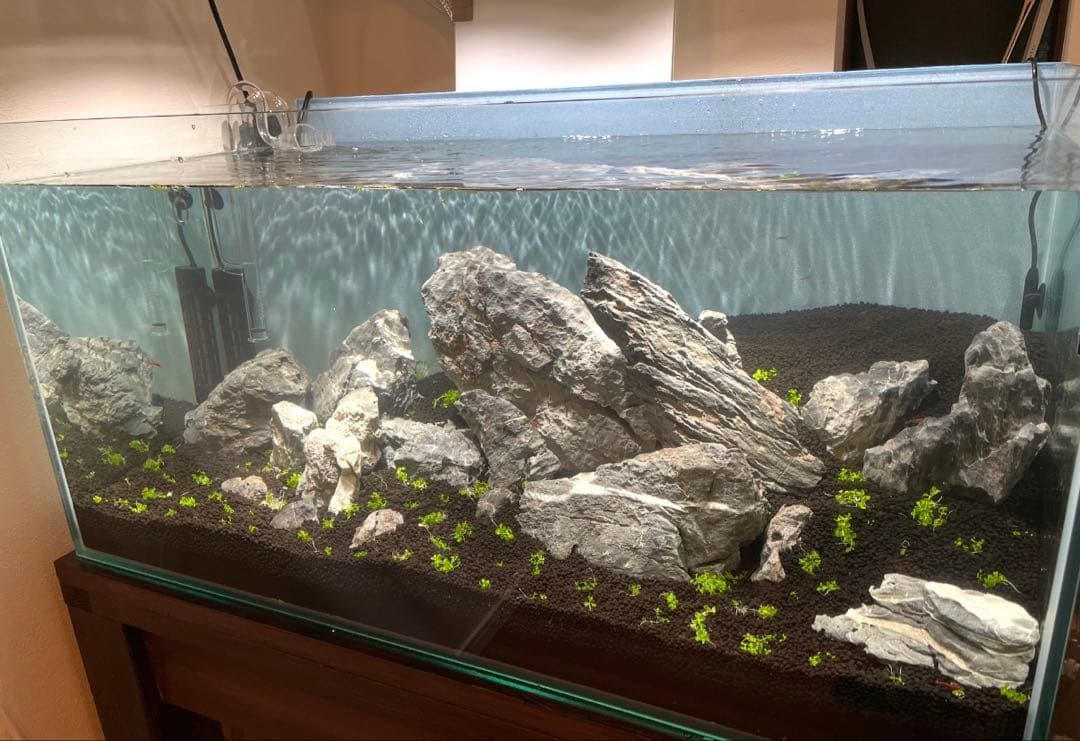 ヤマカワADA 青龍石　龍王石　青華石　清流石　セット