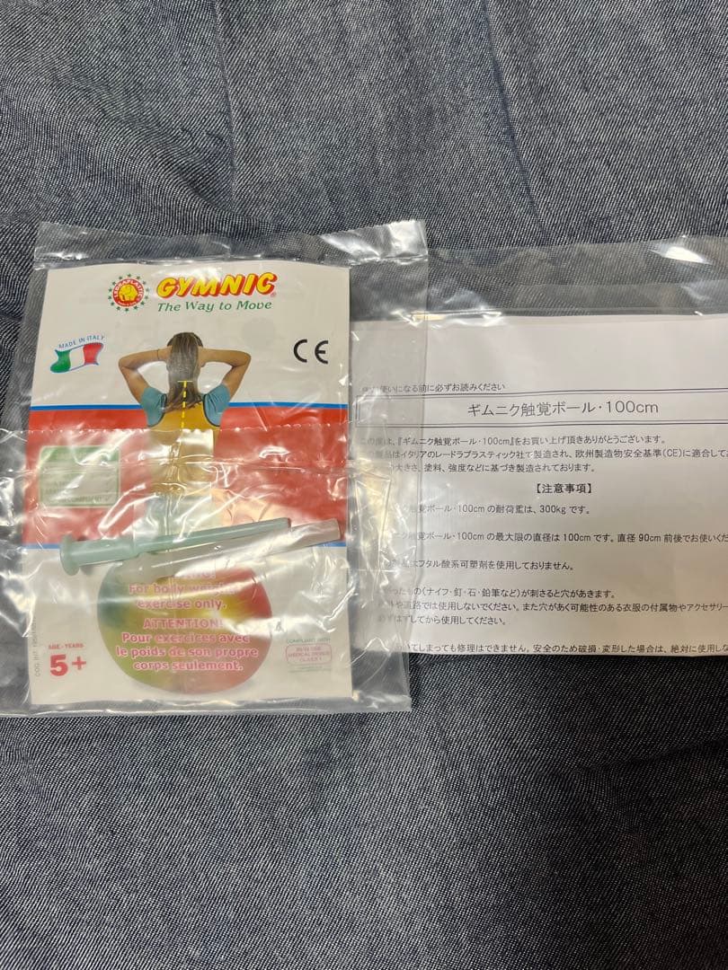 ギムニク触覚ボール 100cm