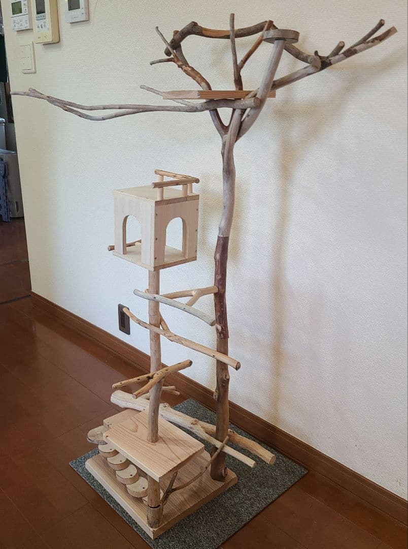 ⑥もちこオーダーページ　バードアスレチック流木　ハンドメイド