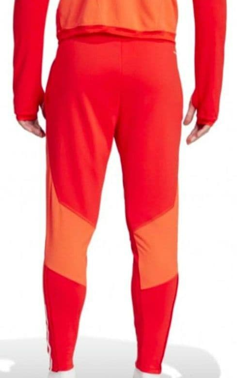 ２０２３シーズン　バイエルン・ミュンヘン　ジャージ　セットアップ