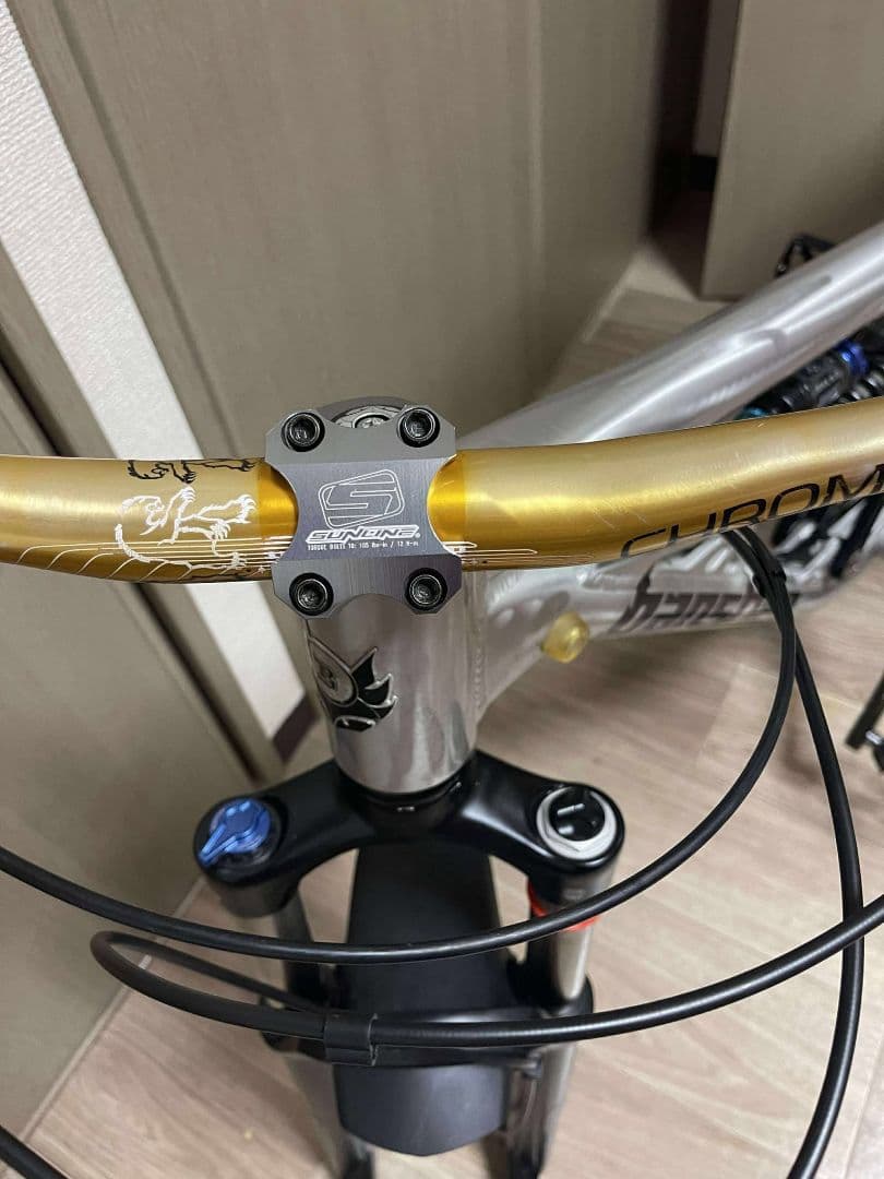 Banshee ダウンヒルバイク