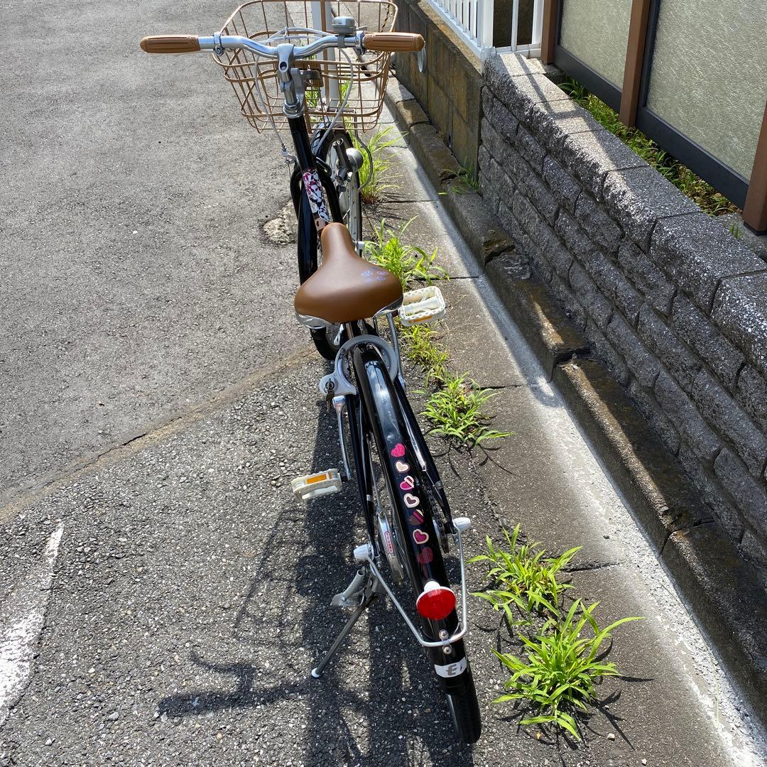 simalisa。ブリジストン　エコパルモカ24