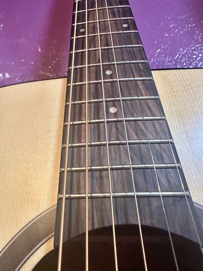 Gopher Wood アコースティックギター