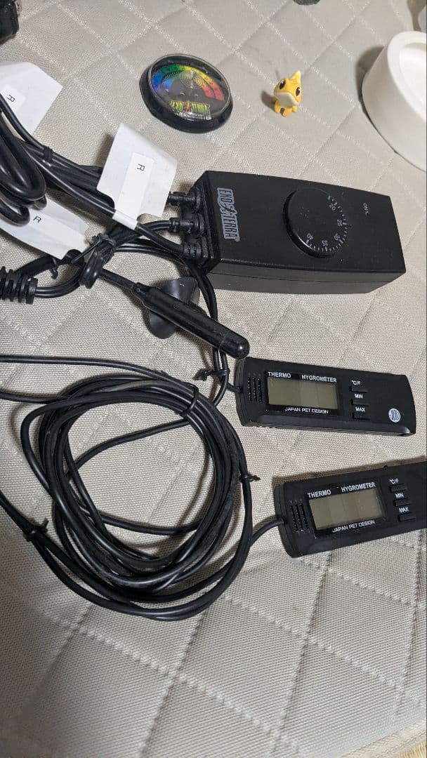 EXO TERRA（エキゾテラ）グラステラリウム3030含む レオパ飼育セット