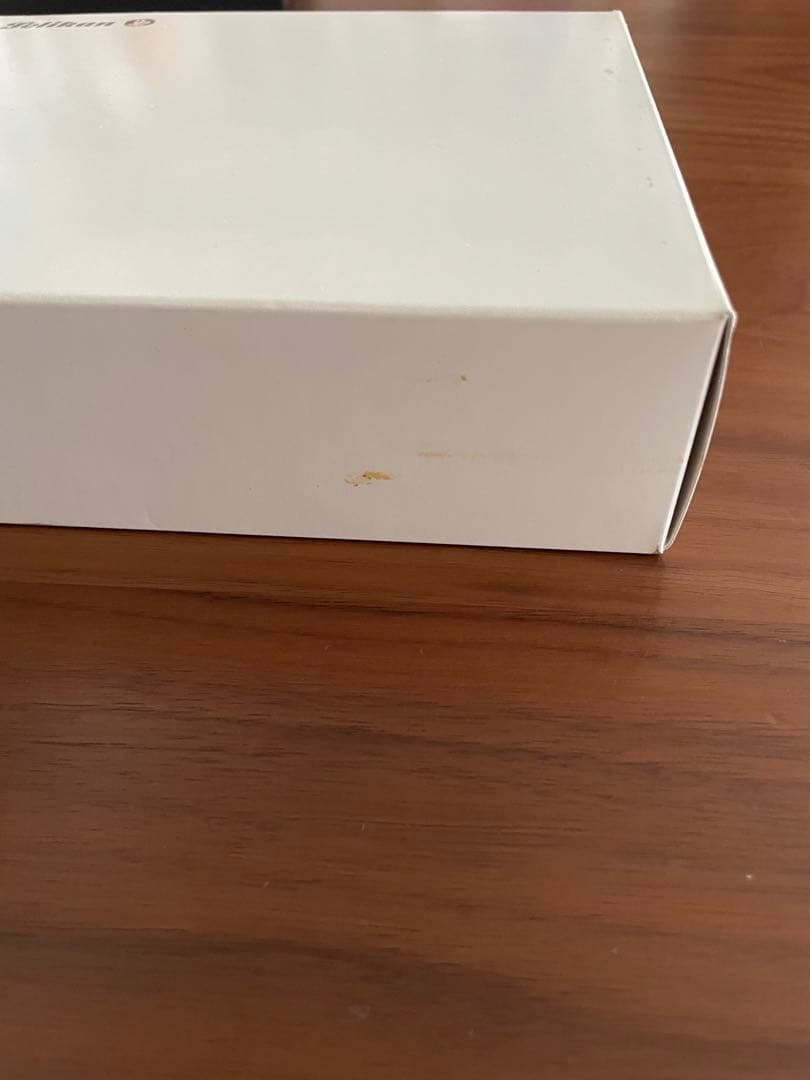 Pelikan M200 スケルトン　万年筆 インクセット