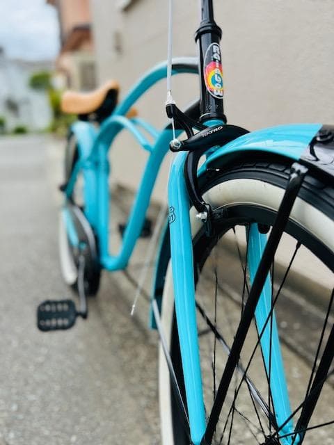 レインボー ビーチクルーザー PCH101 29 1S ド迫力　29インチ