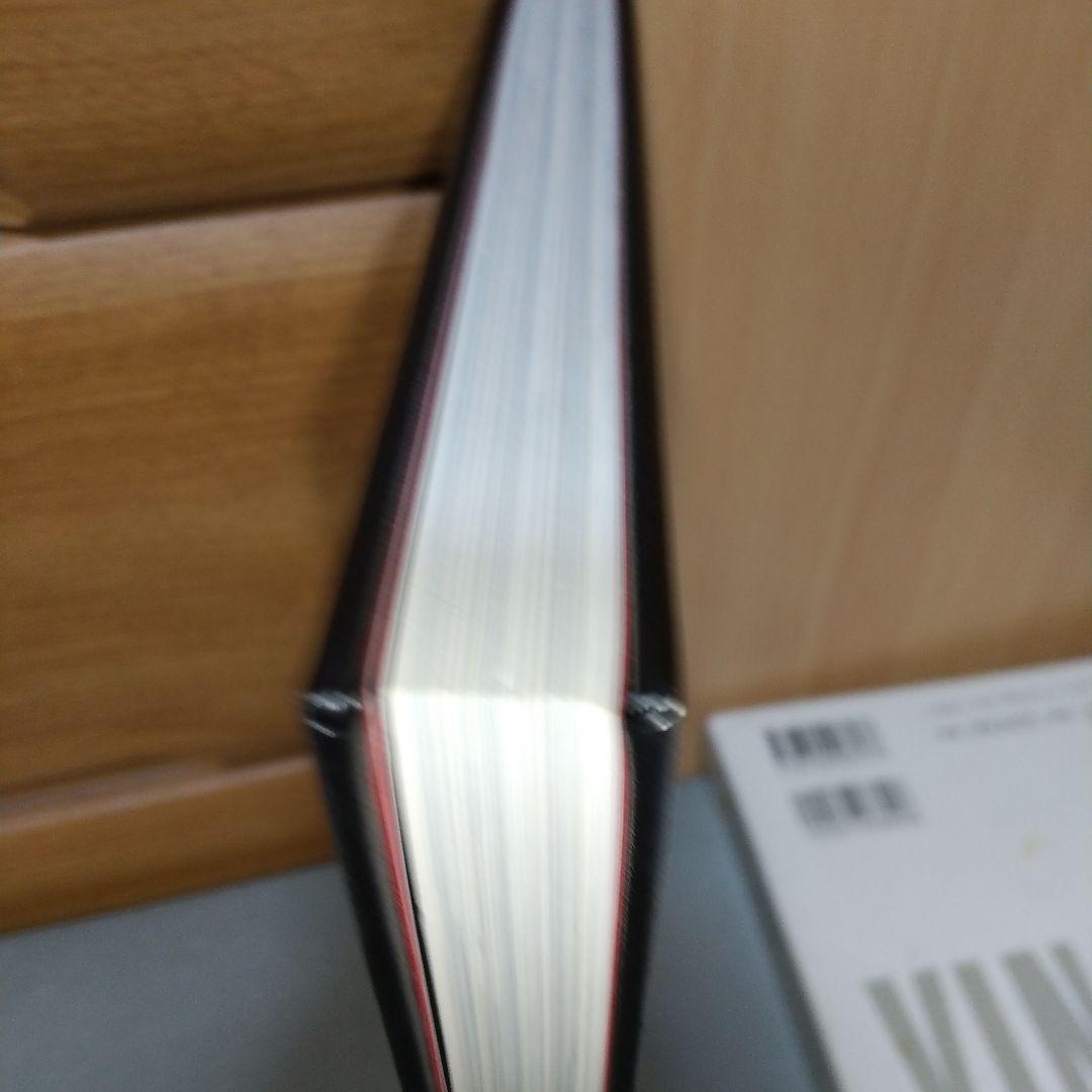 Vincent Gallo 1962-1999 ヴィンセント•ギャロ e3