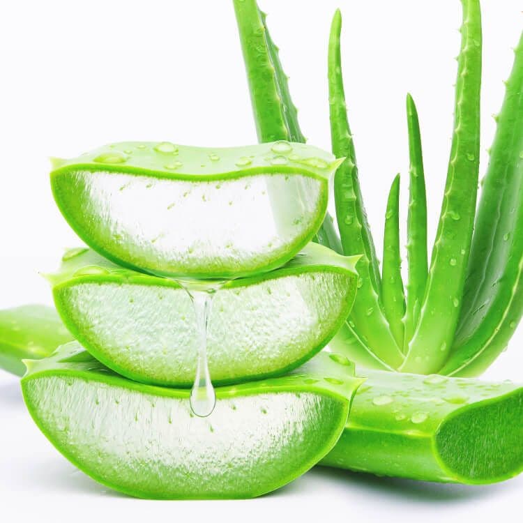 即購入OK☆　EM入り　よもぎ入り　無添加石鹸水　ミントの香り　23ｋｇ