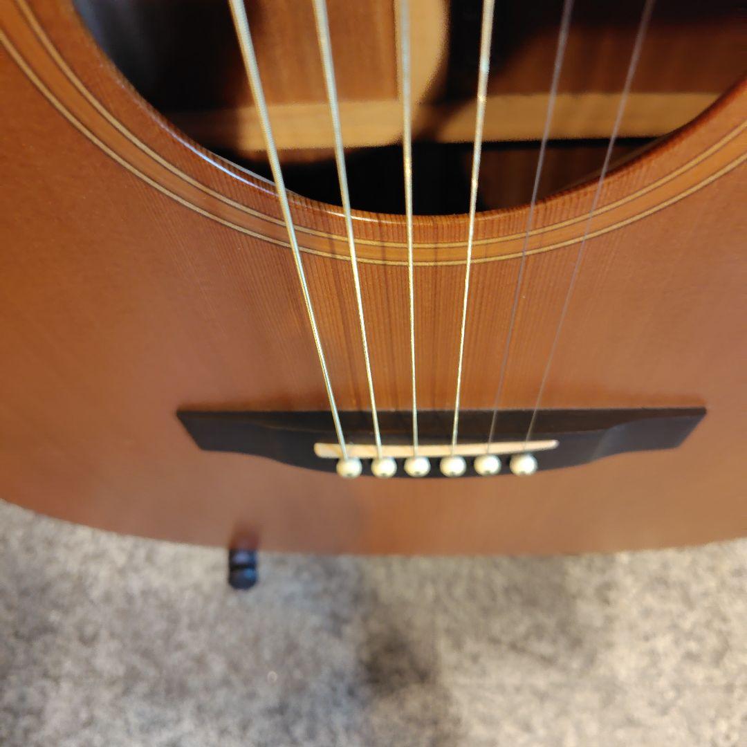 ギター Lakewood M-1