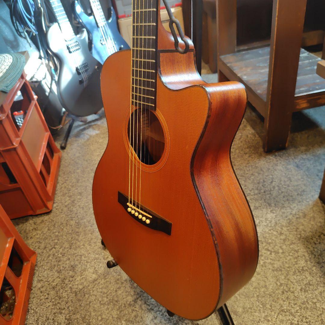 ギター Lakewood M-1