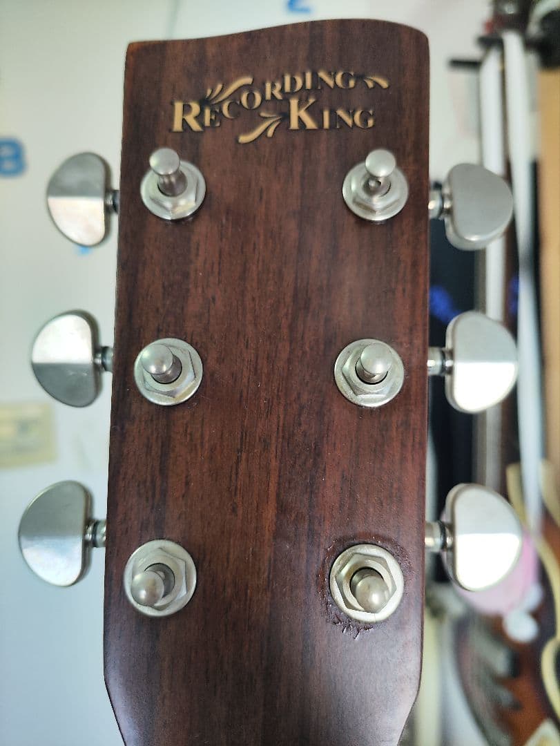 入手困難 Recording King RD-A9M オール単板 ドレッドノート